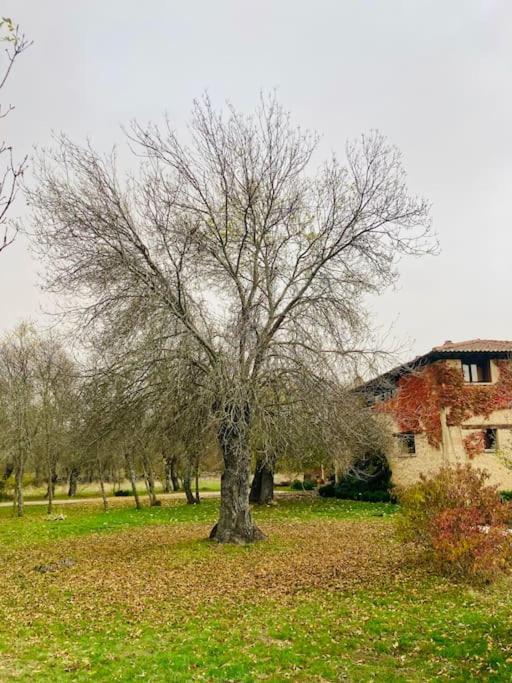 Casa Rural La Fresneda De Tenzuela Segovia Exterior foto